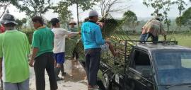 GUBUG GEDHE MERUPAKAN SIMBOL GUYUB RUKUN KALURAHAN NGALANG